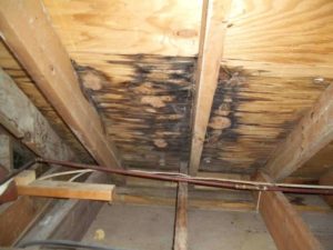  Water damage on the inside of an attic from a leak.