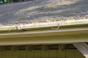 A gutter filled with debris.